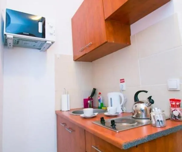 Studio Central Calea Victoriei Διαμέρισμα *